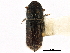  ( - CCDB-28928-H08)  @11 [ ] CreativeCommons - Attribution (2015) CBG Photography Group Centre for Biodiversity Genomics