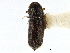 ( - CCDB-28928-H09)  @11 [ ] CreativeCommons - Attribution (2015) CBG Photography Group Centre for Biodiversity Genomics