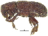  ( - CCDB-28929-B12)  @11 [ ] CreativeCommons - Attribution (2015) CBG Photography Group Centre for Biodiversity Genomics
