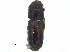  ( - CCDB-28929-D08)  @11 [ ] CreativeCommons - Attribution (2015) CBG Photography Group Centre for Biodiversity Genomics