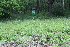  ( - 114_002)  @11 [ ] Unspecified (default): All Rights Reserved (2019) Kostrzyca Forest Gene Bank Kostrzyca Forest Gene Bank