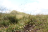  ( - 120_003)  @11 [ ] CreativeCommons-Attribution Non-Commercial Share-Alike (2019) Kostrzyca Forest Gene Bank Kostrzyca Forest Gene Bank