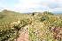  ( - 120_003)  @11 [ ] CreativeCommons-Attribution Non-Commercial Share-Alike (2019) Kostrzyca Forest Gene Bank Kostrzyca Forest Gene Bank