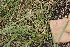  ( - 135_003)  @11 [ ] CreativeCommons-Attribution Non-Commercial Share-Alike (2019) Kostrzyca Forest Gene Bank Kostrzyca Forest Gene Bank