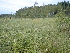  ( - 144_037)  @11 [ ] CreativeCommons-Attribution Non-Commercial Share-Alike (2020) Kostrzyca Forest Gene Bank Kostrzyca Forest Gene Bank