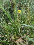  ( - 144_058)  @11 [ ] CreativeCommons-Attribution Non-Commercial Share-Alike (2020) Kostrzyca Forest Gene Bank Kostrzyca Forest Gene Bank