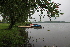  ( - 158_002)  @11 [ ] CreativeCommons-Attribution Non-Commercial Share-Alike (2020) Kostrzyca Forest Gene Bank Kostrzyca Forest Gene Bank