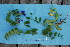  (Lathyrus japonicus var. maritimus - BHAK-05206)  @11 [ ] CreativeCommons - Attribution No Derivatives (2018) Matt Lemay Hakai Institute