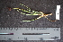  ( - BHAK-05528)  @11 [ ] CreativeCommons - Attribution No Derivatives (2018) Hakai Institute Hakai Institute