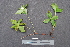  ( - BHAK-05538)  @11 [ ] CreativeCommons - Attribution No Derivatives (2018) Hakai Institute Hakai Institute