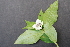  ( - BHAK-05538)  @11 [ ] CreativeCommons - Attribution No Derivatives (2018) Hakai Institute Hakai Institute