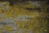  ( - L-785)  @11 [ ] CreativeCommons Attribution Non-Commercial No Derivatives (2018) Matt Lemay Hakai Institute