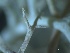  ( - L-763)  @11 [ ] CreativeCommons Attribution Non-Commercial No Derivatives (2018) Matt Lemay Hakai Institute