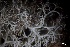  ( - L-763)  @11 [ ] CreativeCommons Attribution Non-Commercial No Derivatives (2018) Matt Lemay Hakai Institute