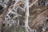  ( - L-821)  @11 [ ] CreativeCommons Attribution Non-Commercial No Derivatives (2018) Matt Lemay Hakai Institute