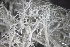  ( - L-821)  @11 [ ] CreativeCommons Attribution Non-Commercial No Derivatives (2018) Matt Lemay Hakai Institute