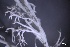  ( - L-822)  @11 [ ] CreativeCommons Attribution Non-Commercial No Derivatives (2018) Matt Lemay Hakai Institute
