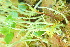  ( - L-750)  @11 [ ] CreativeCommons Attribution Non-Commercial No Derivatives (2018) Matt Lemay Hakai Institute