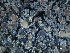  ( - L-752)  @11 [ ] CreativeCommons Attribution Non-Commercial No Derivatives (2018) Matt Lemay Hakai Institute