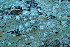  ( - L-813)  @11 [ ] CreativeCommons Attribution Non-Commercial No Derivatives (2018) Matt Lemay Hakai Institute