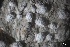  ( - L-813)  @11 [ ] CreativeCommons Attribution Non-Commercial No Derivatives (2018) Matt Lemay Hakai Institute