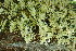  ( - L-815)  @11 [ ] CreativeCommons Attribution Non-Commercial No Derivatives (2018) Matt Lemay Hakai Institute