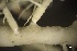  ( - L-802)  @11 [ ] CreativeCommons Attribution Non-Commercial No Derivatives (2018) Matt Lemay Hakai Institute
