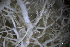  ( - L-855)  @11 [ ] CreativeCommons Attribution Non-Commercial No Derivatives (2018) Matt Lemay Hakai Institute