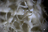  ( - L-855)  @11 [ ] CreativeCommons Attribution Non-Commercial No Derivatives (2018) Matt Lemay Hakai Institute