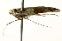  ( - BIOUG01292-D11)  @12 [ ] CreativeCommons - Attribution (2012) CBG Photography Group Centre for Biodiversity Genomics