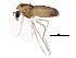  ( - BIOUG01360-A09)  @13 [ ] CreativeCommons - Attribution (2012) CBG Photography Group Centre for Biodiversity Genomics