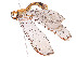  ( - CBG-A58695-A05)  @11 [ ] CreativeCommons - Attribution (2025) CBG Photography Group Centre for Biodiversity Genomics