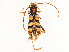  ( - CBG-A58695-C10)  @11 [ ] CreativeCommons - Attribution Share - Alike (2025) CBG Photography Group Centre for Biodiversity Genomics