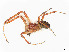  ( - CBG-A58695-G02)  @11 [ ] CreativeCommons - Attribution (2025) CBG Photography Group Centre for Biodiversity Genomics