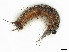  ( - CBG-A58695-G08)  @11 [ ] CreativeCommons - Attribution (2025) CBG Photography Group Centre for Biodiversity Genomics