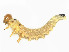  ( - CBG-A58695-G11)  @11 [ ] CreativeCommons - Attribution (2025) CBG Photography Group Centre for Biodiversity Genomics