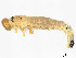  ( - CBG-A58695-H06)  @11 [ ] CreativeCommons - Attribution (2025) CBG Photography Group Centre for Biodiversity Genomics