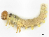  ( - CBG-A58695-H09)  @11 [ ] CreativeCommons - Attribution (2025) CBG Photography Group Centre for Biodiversity Genomics
