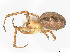  ( - CBG-A58696-F11)  @11 [ ] CreativeCommons - Attribution (2025) CBG Photography Group Centre for Biodiversity Genomics
