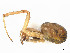  ( - CBG-A58696-G10)  @11 [ ] CreativeCommons - Attribution (2025) CBG Photography Group Centre for Biodiversity Genomics
