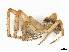  ( - CBG-A58696-G11)  @11 [ ] CreativeCommons - Attribution (2025) CBG Photography Group Centre for Biodiversity Genomics