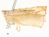  ( - CBG-A65366-A03)  @11 [ ] CreativeCommons - Attribution Share - Alike (2025) CBG Photography Group Centre for Biodiversity Genomics