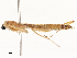  ( - CBG-A65367-C05)  @11 [ ] CreativeCommons - Attribution Share - Alike (2025) CBG Photography Group Centre for Biodiversity Genomics
