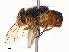  ( - CBG-A65367-E01)  @11 [ ] CreativeCommons - Attribution Share - Alike (2025) CBG Photography Group Centre for Biodiversity Genomics