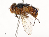  ( - CBG-A65367-E02)  @11 [ ] CreativeCommons - Attribution Share - Alike (2025) CBG Photography Group Centre for Biodiversity Genomics