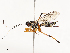  ( - CBG-A65367-F01)  @11 [ ] CreativeCommons - Attribution Share - Alike (2025) CBG Photography Group Centre for Biodiversity Genomics