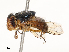  ( - CBG-A65370-G09)  @11 [ ] CreativeCommons - Attribution Share - Alike (2025) CBG Photography Group Centre for Biodiversity Genomics