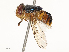 ( - CBG-A65370-G10)  @11 [ ] CreativeCommons - Attribution Share - Alike (2025) CBG Photography Group Centre for Biodiversity Genomics