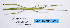  ( - WG1PHANT23-015)  @11 [ ] Copyright (2023) Philippe LELONG ASPER (Association pour la Systématique des Phasmes et l'Etude de leur Répartition)