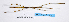  (Bacillidae - WG1PHANT23-040)  @11 [ ] Copyright (2023) Philippe LELONG ASPER (Association pour la Systématique des Phasmes et l'Etude de leur Répartition)